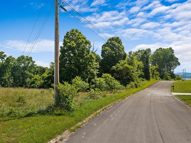 TBD Pheasant View, Rutledge, TN 37861