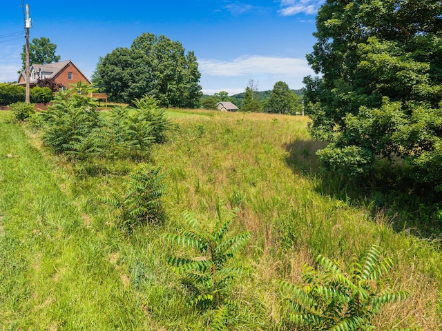 TBD Pheasant View, Rutledge, TN 37861