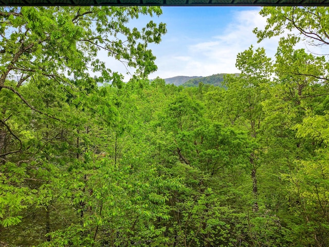 5014 Latta Way, Gatlinburg, TN 37738 - mountain view with a view of trees