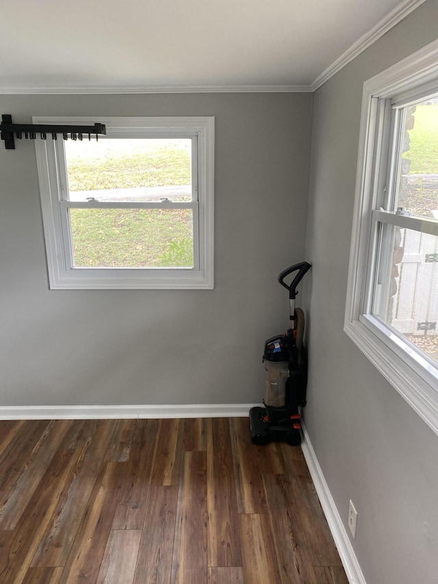 empty room featuring crown molding, dark wood-type flooring, and a wealth of natural light