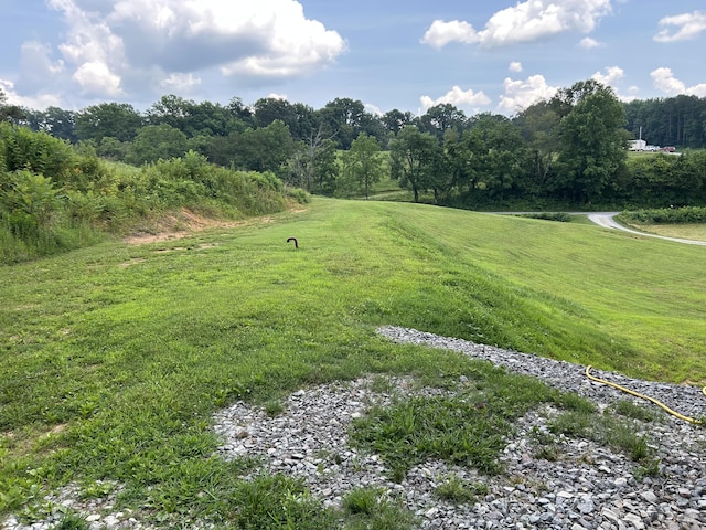 1101 Beason Ridge Rd, New Tazewell, TN 37825 - view of green lawn
