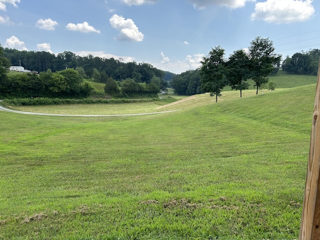 1101 Beason Ridge Rd, New Tazewell, TN 37825 - view of community featuring a lawn