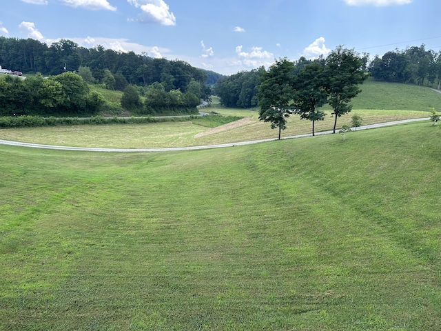 1101 Beason Ridge Rd, New Tazewell, TN 37825 - surrounding community featuring a lawn and a view of countryside