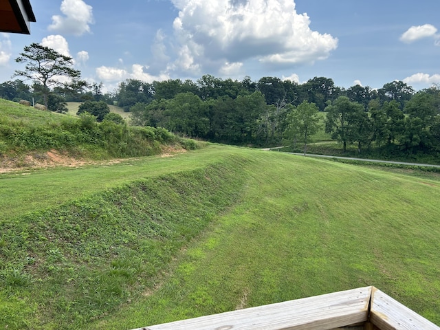 1101 Beason Ridge Rd, New Tazewell, TN 37825 - view of green lawn