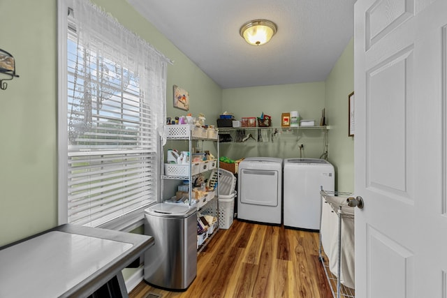 869 Chestnut Grove Cir, Dandridge, TN 37725 - photo 21