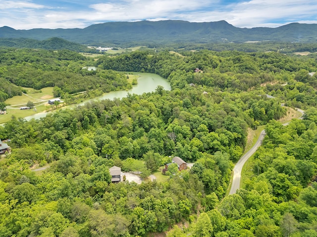 3466 Caywood Rd, Dandridge, TN 37725 - aerial view of a forest and a water and mountain view
