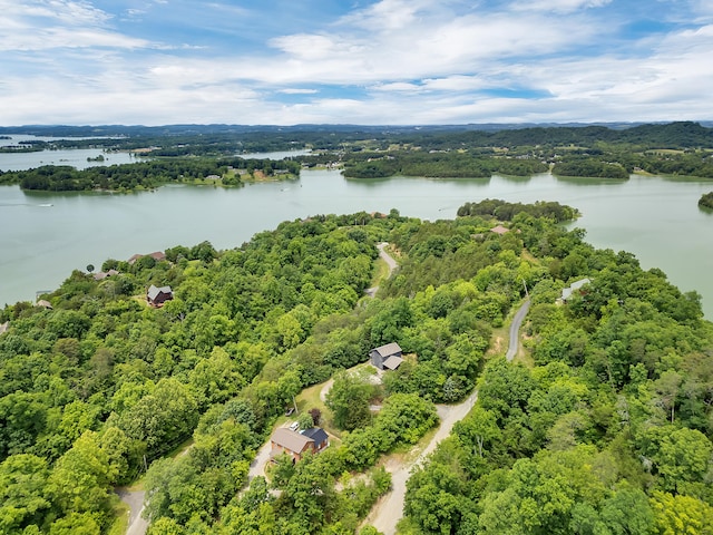 3466 Caywood Rd, Dandridge, TN 37725 - bird's eye view of a large body of water and a forest