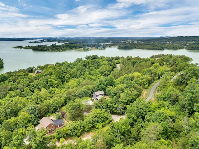 3466 Caywood Rd, Dandridge, TN 37725 - bird's eye view of a large body of water and a forest
