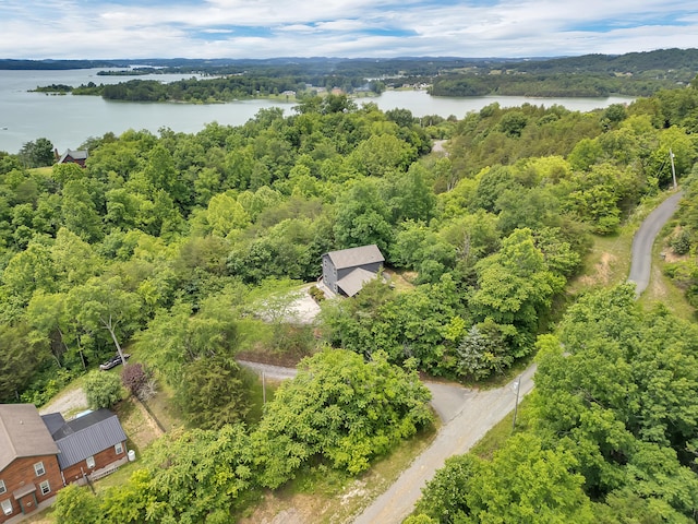 3466 Caywood Rd, Dandridge, TN 37725 - drone / aerial view of a nearby body of water and a forest