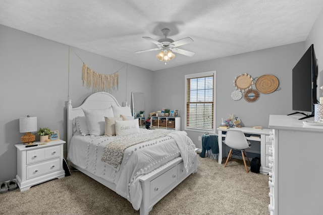 355 Pheasant Vw, Rutledge, TN 37861 - photo 18
