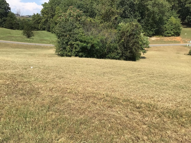 Listing photo 3 for LOT41 Shiloh Springs Rd, Rutledge TN 37861