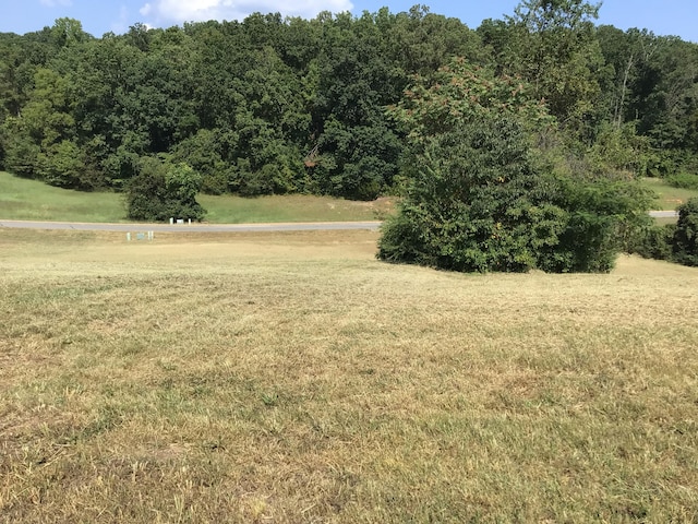 Listing photo 2 for LOT41 Shiloh Springs Rd, Rutledge TN 37861