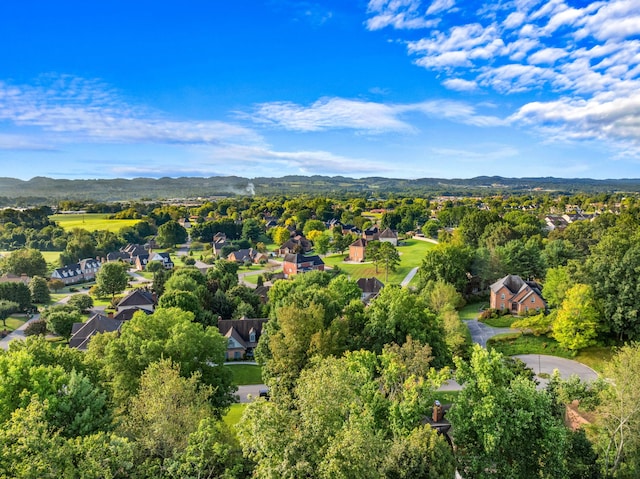 bird's eye view featuring a residential view and a mountain view