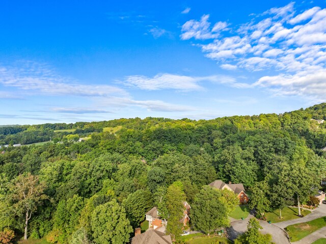 bird's eye view with a view of trees