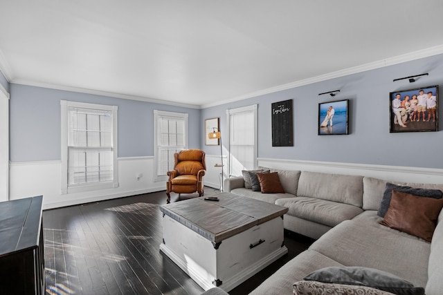 living room with dark wood-type flooring, wainscoting, and crown molding