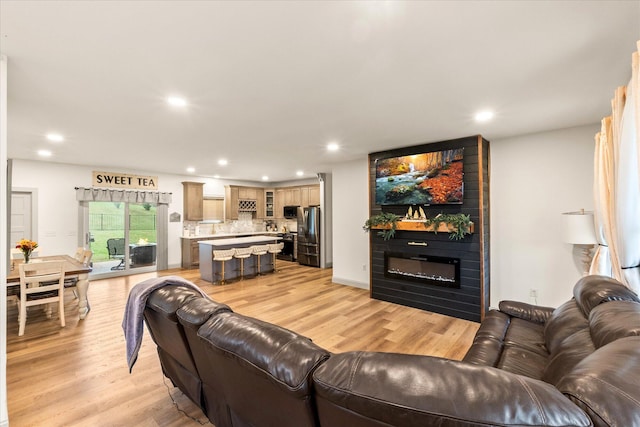 living room featuring a fireplace and light hardwood / wood-style floors