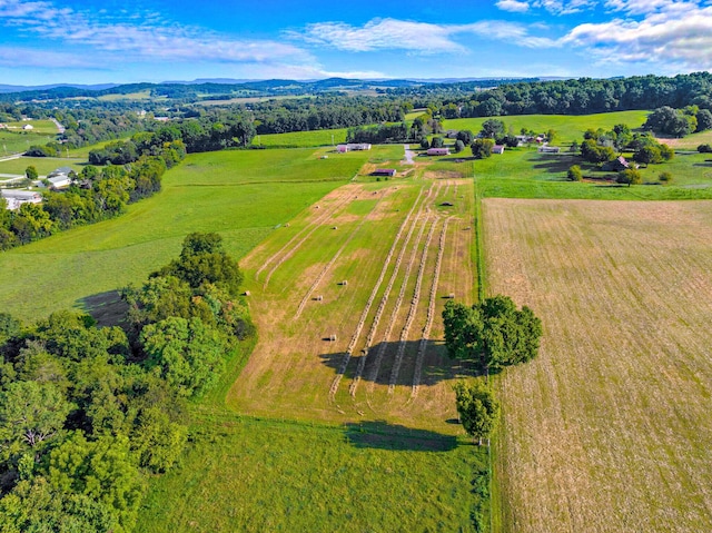 birds eye view of property with a rural view