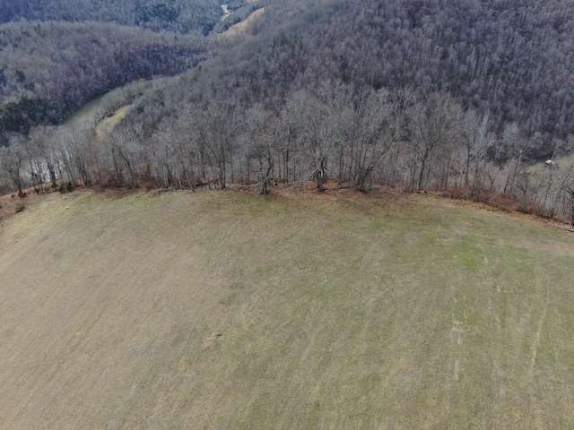 27.33AC Big Springs Rd, Eidson, TN 37731 - photo 28