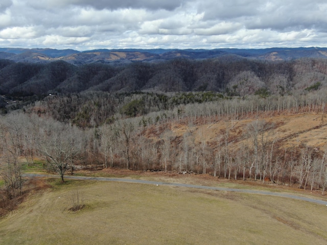 27.33AC Big Springs Rd, Eidson, TN 37731 - photo 30