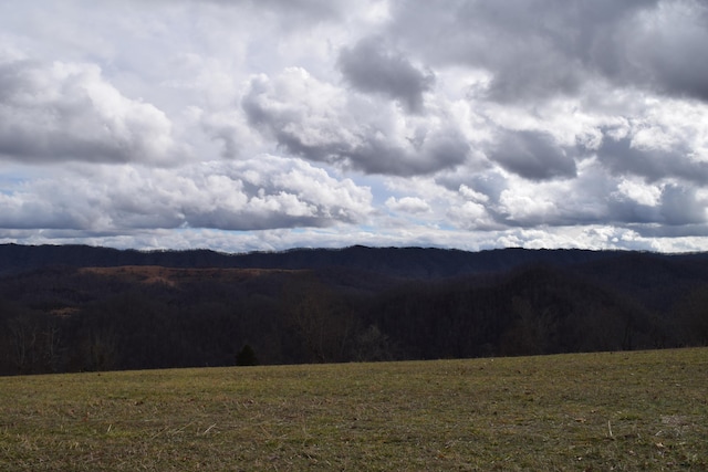 27.33AC Big Springs Rd, Eidson, TN 37731 - photo 23