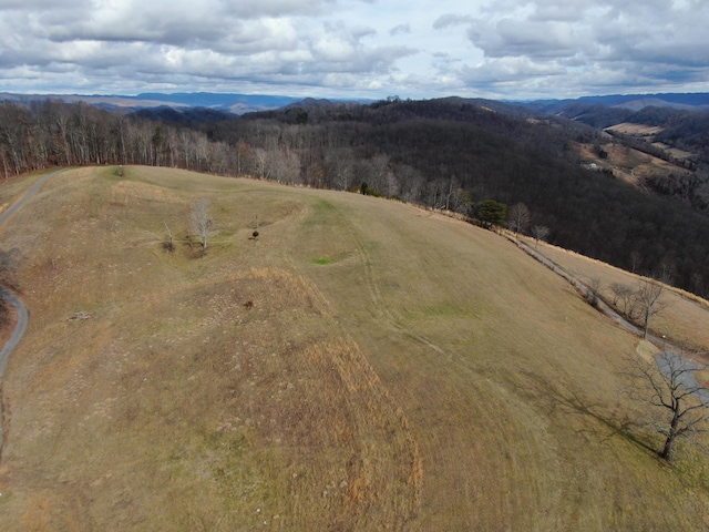 27.33AC Big Springs Rd, Eidson, TN 37731 - photo 19