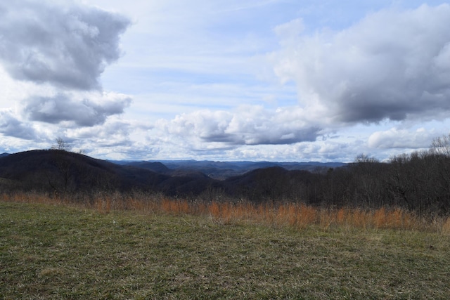 27.33AC Big Springs Rd, Eidson, TN 37731 - photo 14