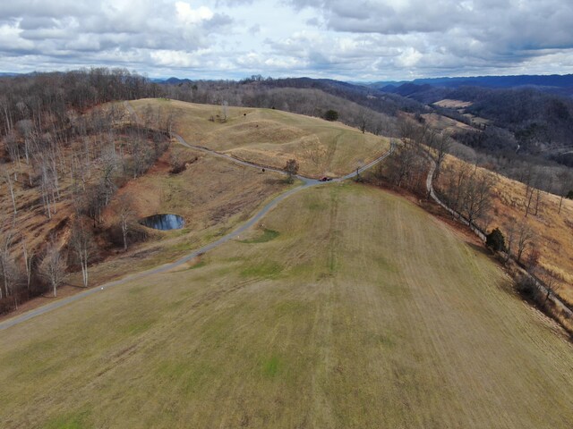 27.33AC Big Springs Rd, Eidson, TN 37731 - photo 46