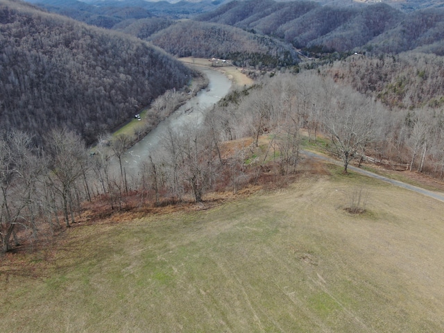 27.33AC Big Springs Rd, Eidson, TN 37731 - photo 29
