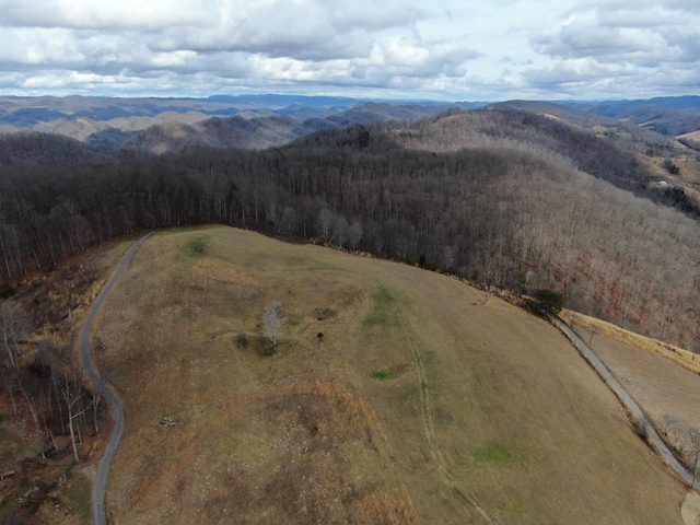 27.33AC Big Springs Rd, Eidson, TN 37731 - photo 52