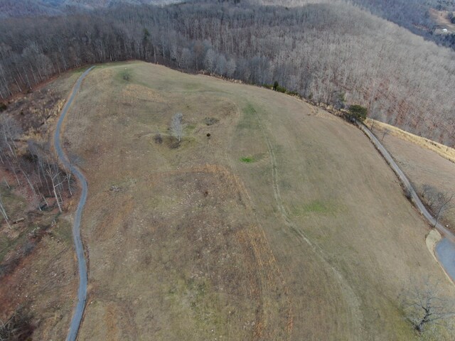 27.33AC Big Springs Rd, Eidson, TN 37731 - photo 38