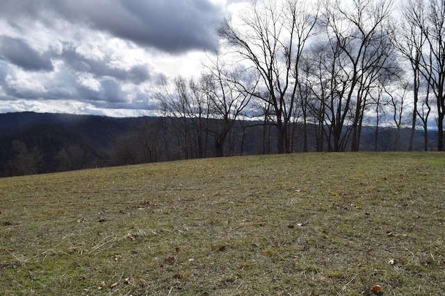 27.33AC Big Springs Rd, Eidson, TN 37731 - photo 25