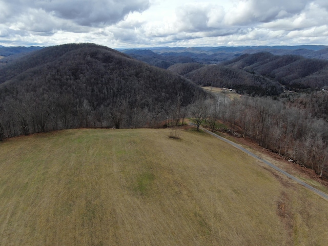 27.33AC Big Springs Rd, Eidson, TN 37731 - photo 42