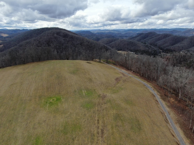 27.33AC Big Springs Rd, Eidson, TN 37731 - photo 41