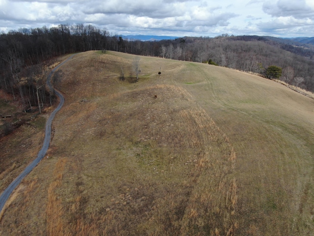 27.33AC Big Springs Rd, Eidson, TN 37731 - photo 36