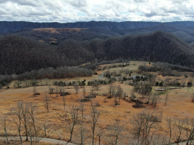 27.33AC Big Springs Rd, Eidson, TN 37731 - photo 49
