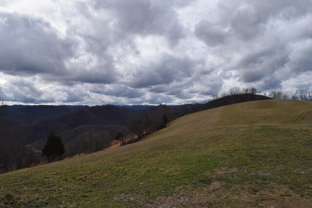 27.33AC Big Springs Rd, Eidson, TN 37731 - photo 5