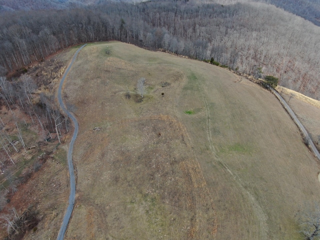 27.33AC Big Springs Rd, Eidson, TN 37731 - photo 37