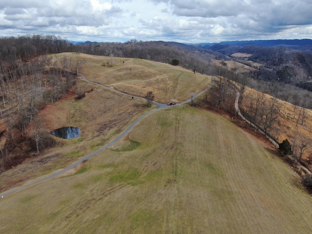 27.33AC Big Springs Rd, Eidson, TN 37731 - photo 33