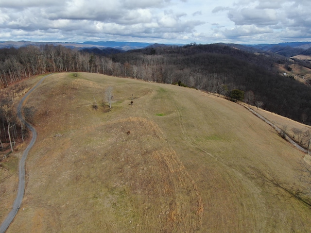 27.33AC Big Springs Rd, Eidson, TN 37731 - photo 20