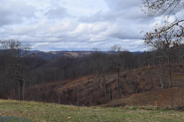 27.33AC Big Springs Rd, Eidson, TN 37731 - photo 4