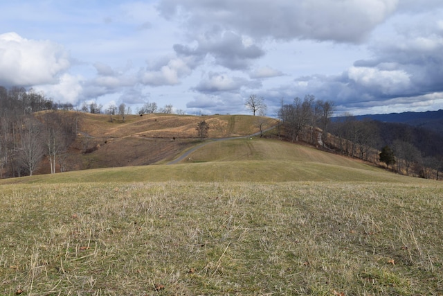 27.33AC Big Springs Rd, Eidson, TN 37731 - photo 24