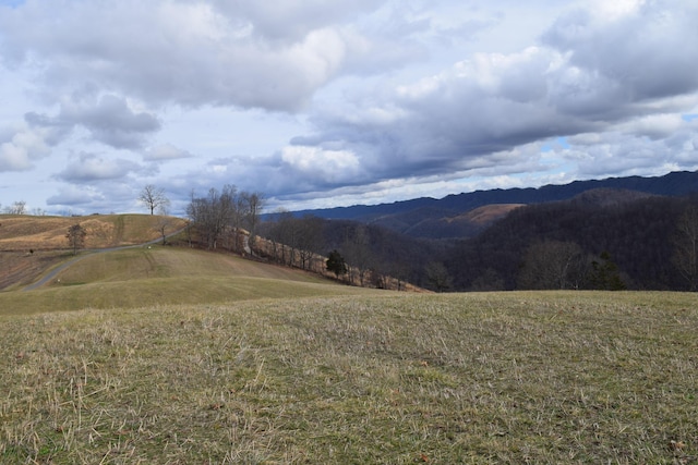 27.33AC Big Springs Rd, Eidson, TN 37731 - photo 10