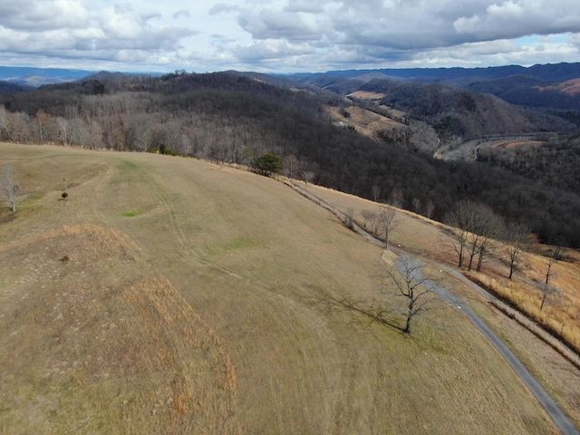 27.33AC Big Springs Rd, Eidson, TN 37731 - photo 48