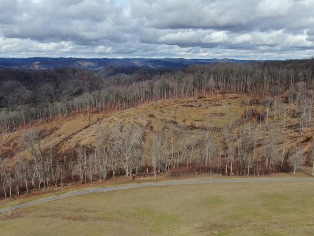 27.33AC Big Springs Rd, Eidson, TN 37731 - photo 44