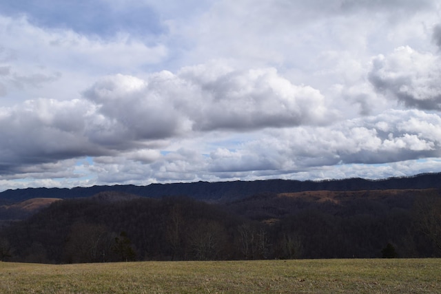 27.33AC Big Springs Rd, Eidson, TN 37731 - photo 6