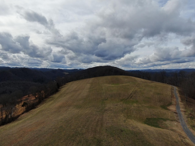 27.33AC Big Springs Rd, Eidson, TN 37731 - photo 17