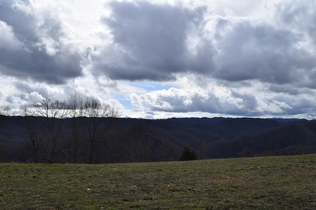 27.33AC Big Springs Rd, Eidson, TN 37731 - photo 22