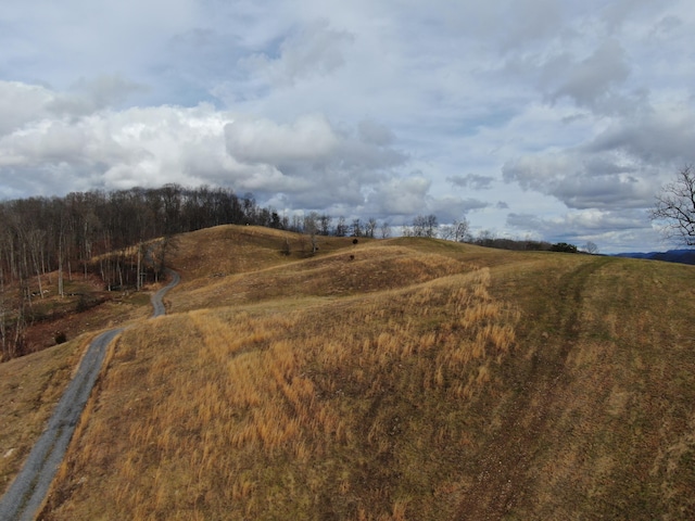 27.33AC Big Springs Rd, Eidson, TN 37731 - photo 18
