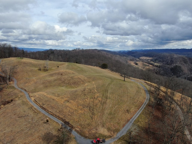 27.33AC Big Springs Rd, Eidson, TN 37731 - photo 34