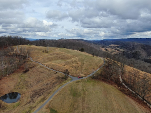 27.33AC Big Springs Rd, Eidson, TN 37731 - photo 47